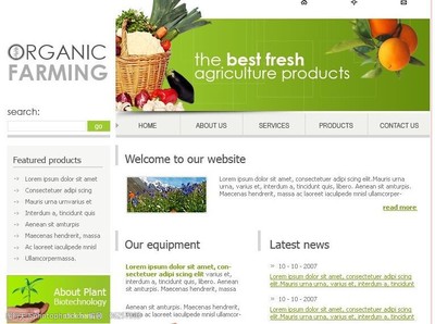 個(gè)性網(wǎng)頁(yè)模板設(shè)計(jì) 點(diǎn)亮電子商務(wù)經(jīng)營(yíng)的視覺引擎